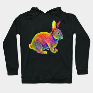 Psychedelic Rainbow Bunny Rabbit Hoodie